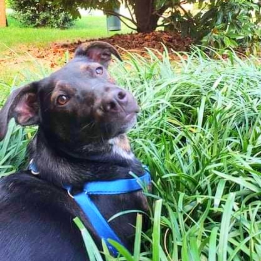 Meet your Posher, Vina